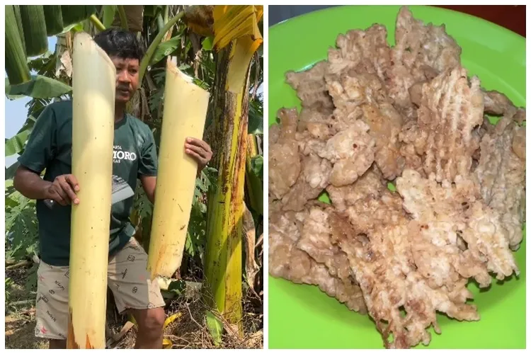 Trik bikin keripik gedebog pisang agar bebas getah, tak pahit, dan renyah andalkan 1 bahan dapur