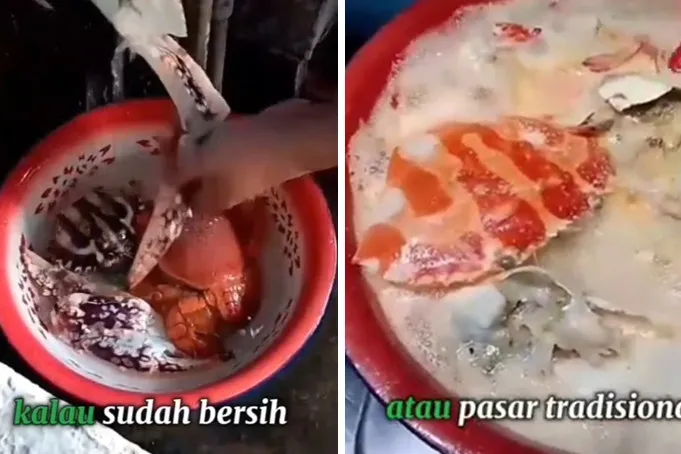 Trik mengolah daging kepiting agar matang sempurna dan nggak bau amis, makin gurih pakai 1 bahan ini