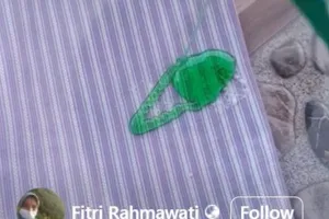 Trik hilangkan noda karat di baju ini cuma pakai 3 bahan dapur, auto bersih tanpa bikin kain rusak