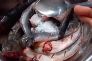 Bukan terigu atau air jeruk nipis, ini cara ampuh hilangkan lendir lele cuma pakai 2 bahan makanan