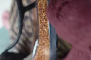 Cara bersihkan sandal dekil jadi seperti baru pakai 3 bahan dapur, sekali usap noda hitam lenyap