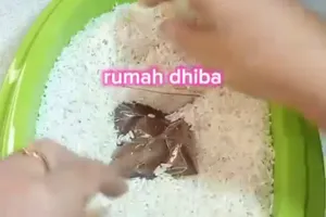 Tak perlu dijemur, ini trik mengusir kutu beras agar aman dimasak cuma pakai 1 bahan minuman