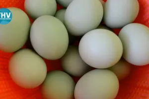 Tanpa dilumuri abu gosok atau batu bata, ini trik bikin telur asin bisa awet 1 bulan di suhu ruang