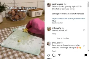 Nggak perlu sitrun, ini trik bersihkan talenan plastik menghitam dan penuh goresan agar kembali mulus