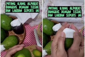 Bukan ditusuk lidi, begini cara cepat mematangkan alpukat dalam 2 hari tanpa busuk