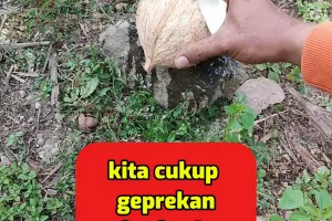 Bukan pakai pisau besar, pria ini punya cara antimainstream membelah batok kelapa dalam sekali ketuk