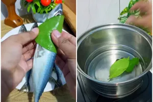 Cara bikin ikan pindang agar dagingnya tak mudah hancur dan antiamis, cukup pakai 1 rempah daun