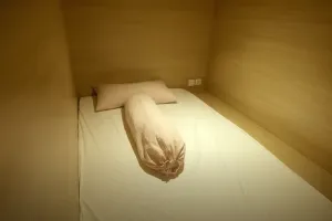 Desainnya ala Jepang modern, 11 potret studio kerja Raditya Dika dilengkapi area kolam renang