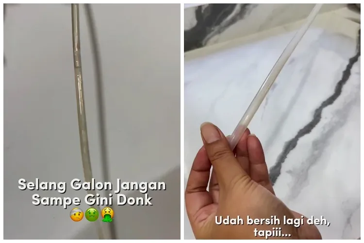 Auto bersih cuma ditekan, ini cara bersihkan noda lumut di selang dispenser agar higienis