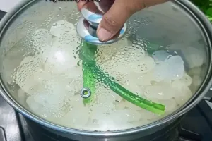 Bukan direbus, ini trik masak kolang-kaling agar cepat empuk dan tak bau asam pakai 1 jenis rempah