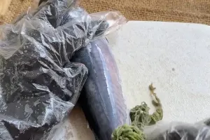 Jangan cuma dibuang insangnya, ini trik mengolah ikan tongkol supaya tidak bikin lidah gatal