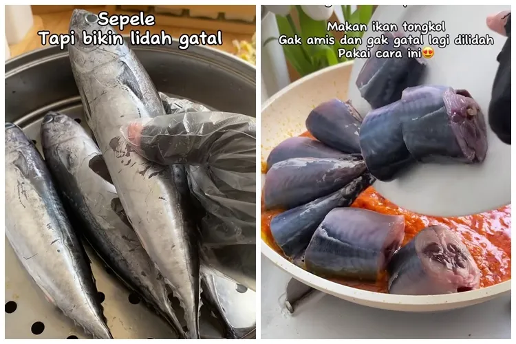 Jangan cuma dibuang insangnya, ini trik mengolah ikan tongkol supaya tidak bikin lidah gatal