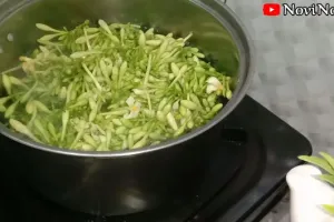 Warna tetap hijau dan antipahit, begini cara rebus bunga pepaya cukup tambah 3 bahan sederhana