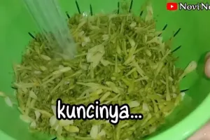 Warna tetap hijau dan antipahit, begini cara rebus bunga pepaya cukup tambah 3 bahan sederhana