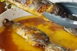 Tak perlu dibaluri tepung, ini trik menggoreng ikan lele agar hasilnya lurus dan lebih garing