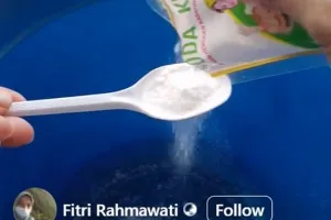 Tanpa campuran pemutih, begini cara cuci bantal dekil dan jamuran cuma pakai 3 bahan dapur