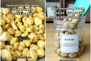 Trik menyimpan kemiri ini bikin tidak mudah kutuan, bau apek, dan berjamur meski tanpa kulkas