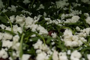 Digelar lagi di Lombok, 9 menu di restoran MotoGP milik Valentino Rossi pakai bahan dan bumbu lokal