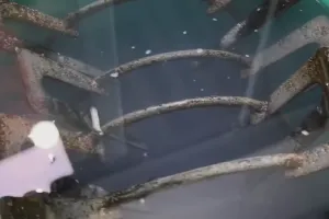 Langsung rontok dalam sekali usap, ini trik bersihkan tungku kompor penuh lemak dan kerak agar kesat