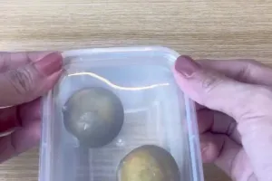 Jangan langsung dibuang, ini trik atasi jeruk nipis telanjur kering agar empuk dan bisa dipakai lagi