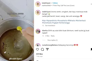 Trik mengepel lantai ini bantu usir serangga di rumah, cukup andalkan 3 bahan dapur