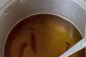 Trik mengepel lantai ini bantu usir serangga di rumah, cukup andalkan 3 bahan dapur