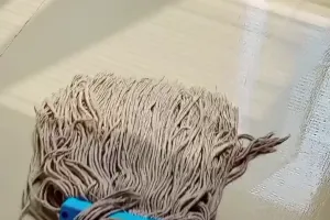 Trik mengepel lantai ini bantu usir serangga di rumah, cukup andalkan 3 bahan dapur