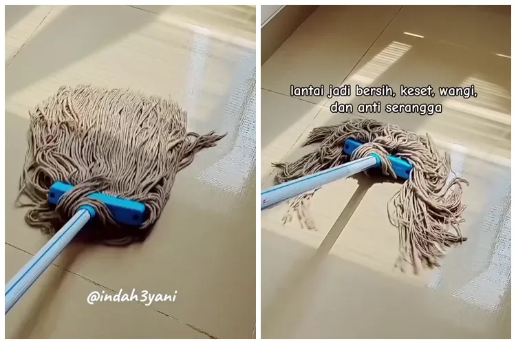 Trik mengepel lantai ini bantu usir serangga di rumah, cukup andalkan 3 bahan dapur