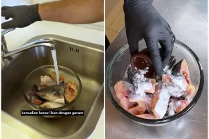 Modal 2 bahan dapur, begini trik mengolah ikan patin supaya antiamis dan bebas bau lumpur