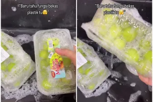 Bukan sekadar pembungkus makanan, wanita ini bagikan fungsi lain mika kemasan anggur yang tak terduga