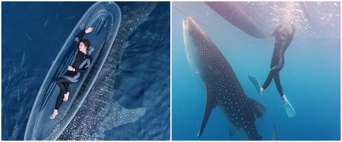 9 Potret Tiara Andini pamer liburan bareng hiu paus Sherly dan Bima, seru pol