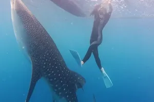 9 Potret Tiara Andini pamer liburan bareng hiu paus Sherly dan Bima, seru pol