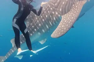 9 Potret Tiara Andini pamer liburan bareng hiu paus Sherly dan Bima, seru pol