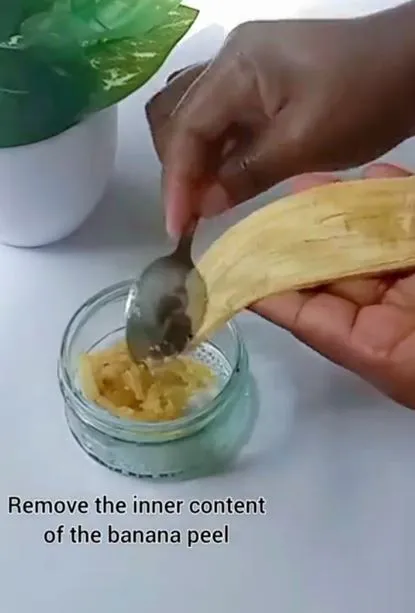 Cara atasi keriput area mata pakai masker dari 1 jenis kulit buah Berbagai sumber Cara atasi keriput area mata pakai masker dari 1 jenis kulit buah Berbagai sumber