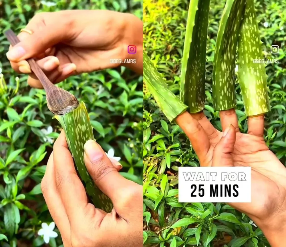 bikin kuku antirapuh © Instagram