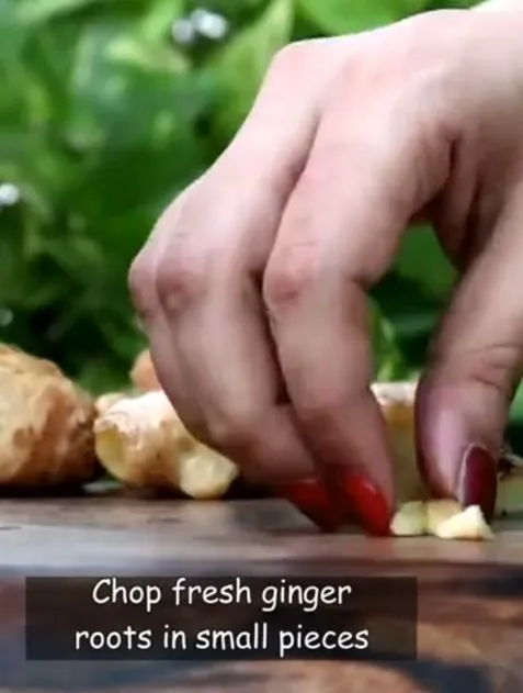 Rambut rontok dan rapuh pakai 1 jenis rempah dapur Berbagai sumber