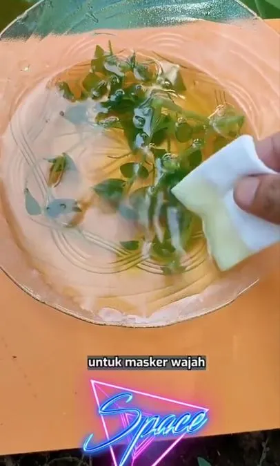 Bikin wajah glowing secara alami pakai 1 tanaman herbal Berbagai sumber