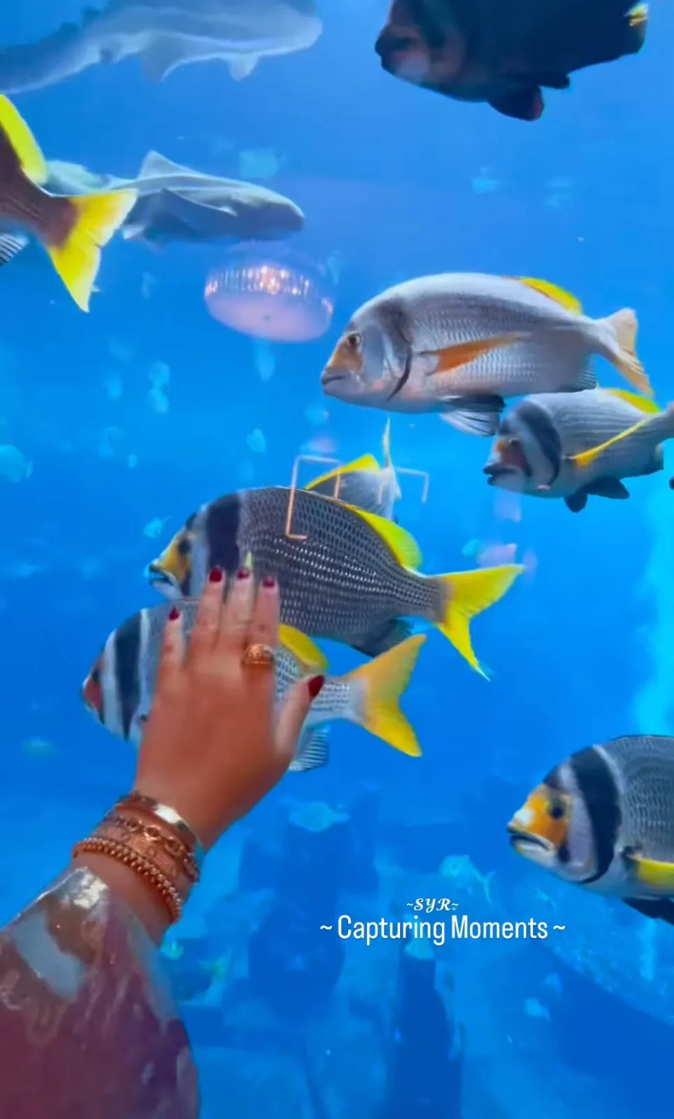 syahrini liburan © Instagram syahrini liburan © Instagram