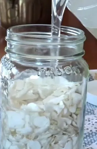 Gardenia parfum penghilang bau badan Berbagai sumber